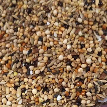 Базовая зерновая смесь для амадин и астрильдов